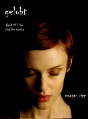 Morgan Rice - Gelobt