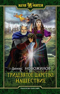 Денис Новожилов Тридевятое царство. Нашествие обложка книги