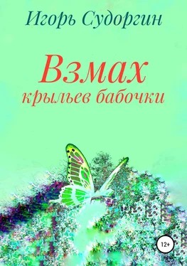 Игорь Судоргин Взмах крыльев бабочки обложка книги