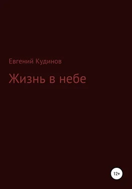 Евгений Кудинов Жизнь в небе обложка книги