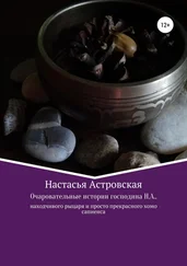 Настасья Астровская - Очаровательные истории господина Н.А., находчивого рыцаря и просто прекрасного хомо сапиенса