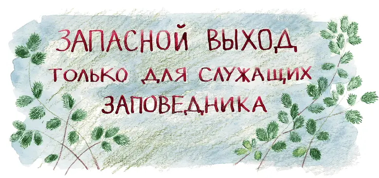 А как ее открыть спросила Алиса Подумай сама я не знаю сказал гном - фото 17
