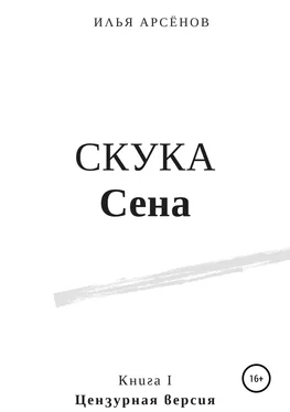 Илья Арсёнов Сен. Книга первая. Скука Сена обложка книги