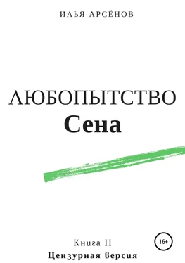 Илья Арсёнов Сен. Книга вторая. Любопытство Сена обложка книги