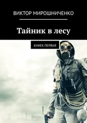 Виктор Мирошниченко - Тайник в лесу. Книга первая