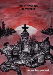 Антон Задорожный - Мы никогда не умрем