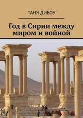 Таня Дибоу - Год в Сирии между миром и войной