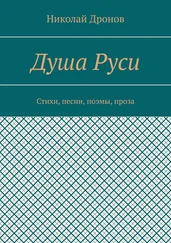 Николай Дронов - Душа Руси. Стихи, песни, поэмы, проза