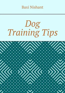 Baxi Nishant Dog Training Tips обложка книги