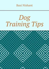 Baxi Nishant - Dog Training Tips