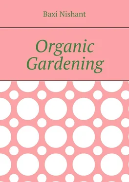 Baxi Nishant Organic Gardening обложка книги
