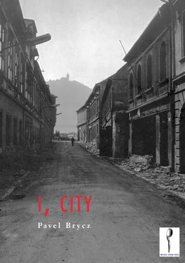Pavel Brycz I, City обложка книги