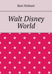 Baxi Nishant - Walt Disney World