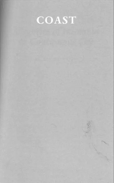 A M Norton ALLEGORIES OF INSOMNIA CONTINUOUS SKY naked in the sea air and - фото 8