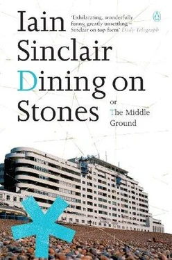 Iain Sinclair Dining on Stones обложка книги