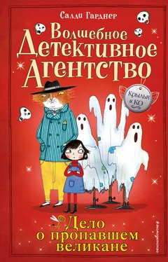 Салли Гарднер Дело о пропавшем великане обложка книги