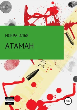 Илья Искра Атаман обложка книги