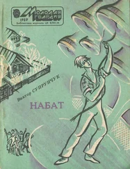 Виктор Супрунчук - Набат