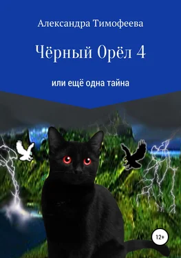 Александра Тимофеева Чёрный Орёл 4 или ещё одна тайна обложка книги