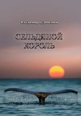 Владимир Гудинский Сельдяной король (сборник) обложка книги