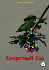 Ольга Архипова - Конфетный Сад