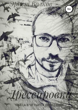 Эрнст Волков Дрессировка обложка книги