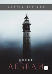 Андрей Терехов - Дикие лебеди