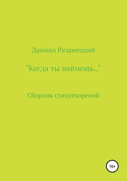 Даниил Разанецкий Когда ты поймешь… обложка книги