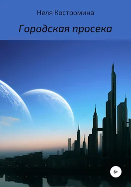 Неля Костромина Городская просека обложка книги