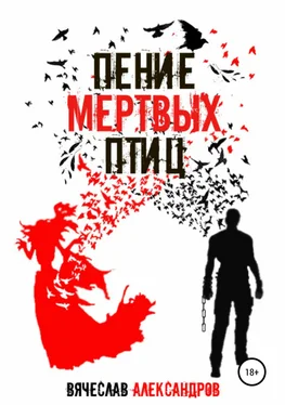 Вячеслав Александров Пение мёртвых птиц обложка книги
