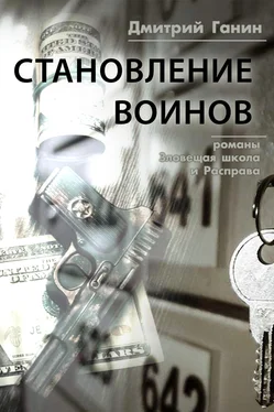 Дмитрий Ганин Становление воинов (сборник) обложка книги