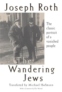 Joseph Roth The Wandering Jews обложка книги