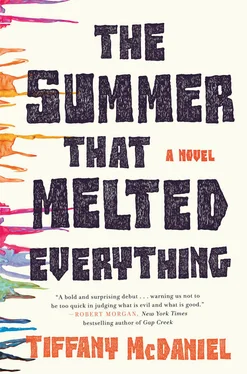 Tiffany McDaniel The Summer That Melted Everything обложка книги