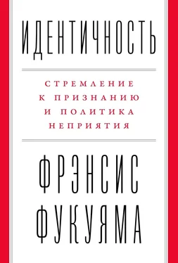 Фрэнсис Фукуяма Идентичность обложка книги