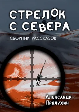 Александр Прялухин Стрелок с севера. Сборник рассказов обложка книги