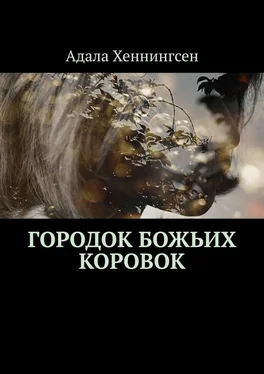 Адала Хеннингсен Городок божьих коровок обложка книги