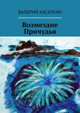 Валерий Касаткин Возмездие Причудья обложка книги