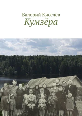 Валерий Киселёв Кумзёра обложка книги