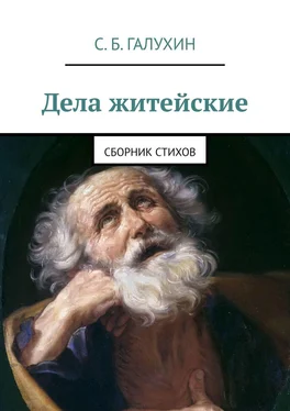 Сергей Галухин Дела житейские. Сборник стихов обложка книги