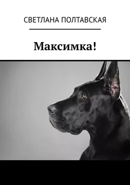 Светлана Полтавская Максимка! обложка книги