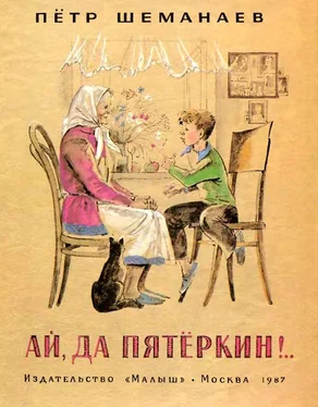Петр Шеманаев Ай, да Пятёркин. обложка книги