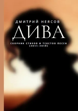 Дмитрий Неясов ДИВА: Сборник стихов и текстов песен. 2011—2018 обложка книги
