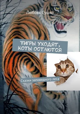 Любовь Сушко Тигры уходят, коты остаются. Сказки заповедного леса обложка книги
