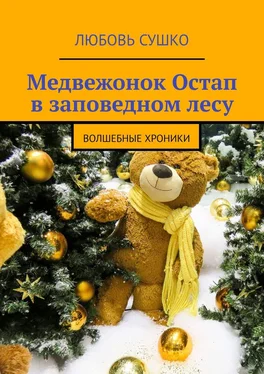 Любовь Сушко Медвежонок Остап в заповедном лесу. Волшебные хроники обложка книги