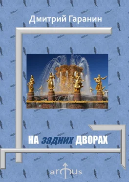 Дмитрий Гаранин На задних дворах. Проекции: №7 обложка книги