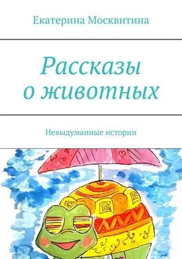 Екатерина Москвитина Рассказы о животных. Невыдуманные истории обложка книги