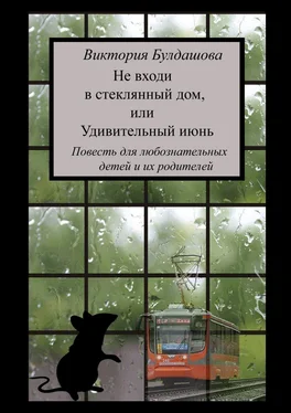 Виктория Булдашова Не входи в стеклянный дом, или Удивительный июнь. Книга для любознательных детей и их родителей обложка книги