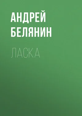Андрей Белянин Ласка обложка книги