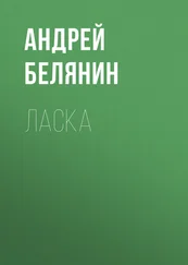 Андрей Белянин - Ласка