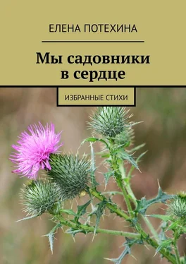 Елена Потехина Мы садовники в сердце. Избранные стихи обложка книги